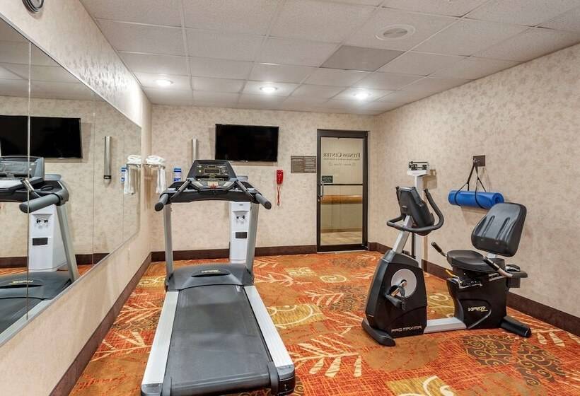 هتل Comfort Inn & Suites Branson Meadows