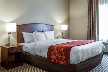 هتل Comfort Inn & Suites Carneys Point