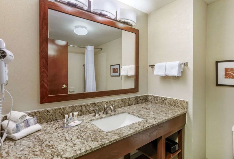 Отель Comfort Inn & Suites Christiansburg I 81