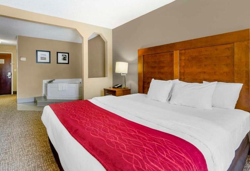 Отель Comfort Inn & Suites Christiansburg I 81