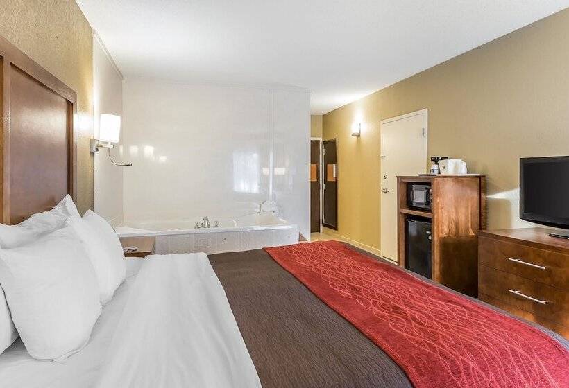 ホテル Comfort Inn & Suites