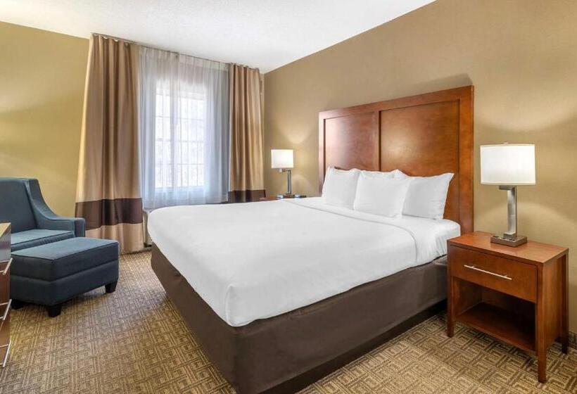 酒店 Comfort Inn & Suites Dover Portsmouth