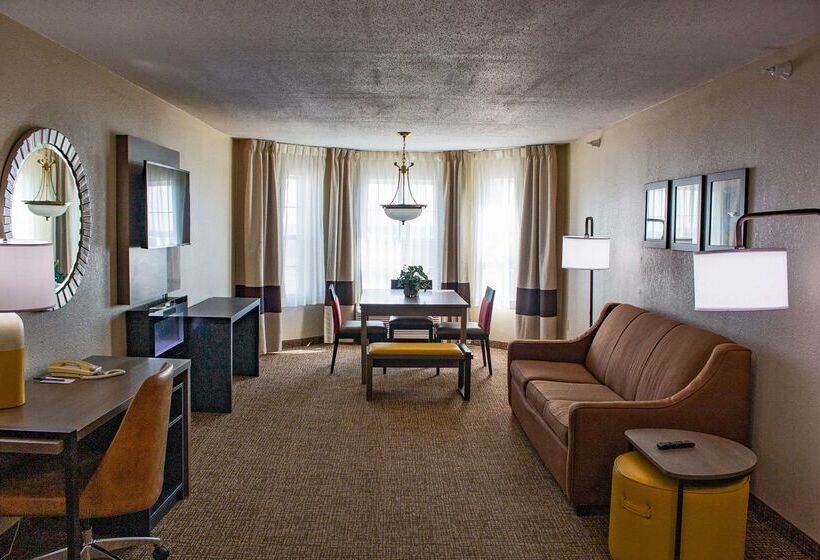 酒店 Comfort Inn & Suites Geneva West Chicago