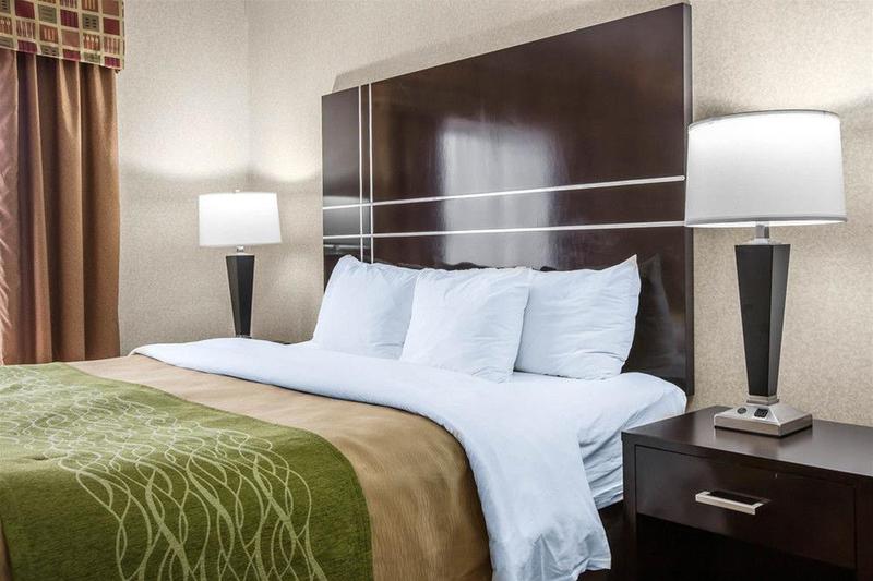 酒店 Comfort Inn And Suites Griffin