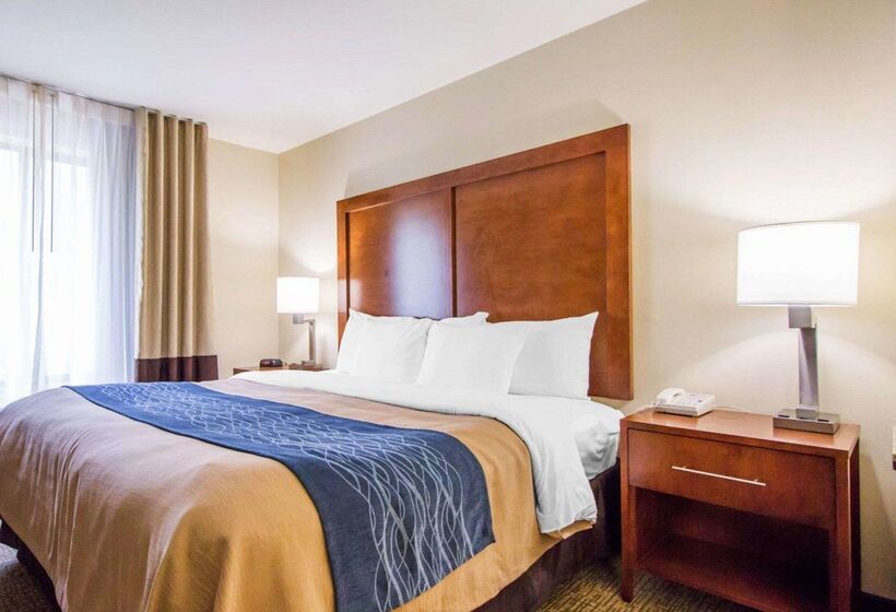 هتل Comfort Inn & Suites Deadwood