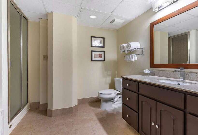 ホテル Comfort Inn & Suites Lake Norman