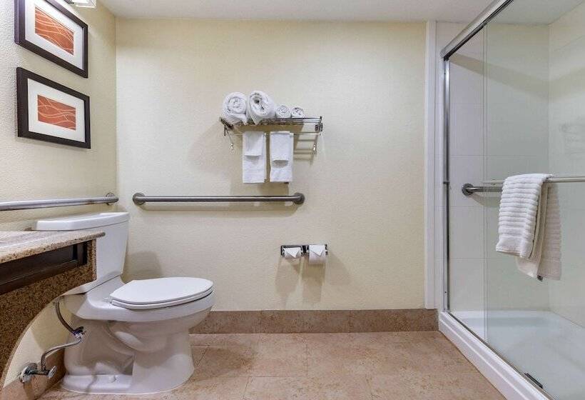 ホテル Comfort Inn & Suites Lake Norman