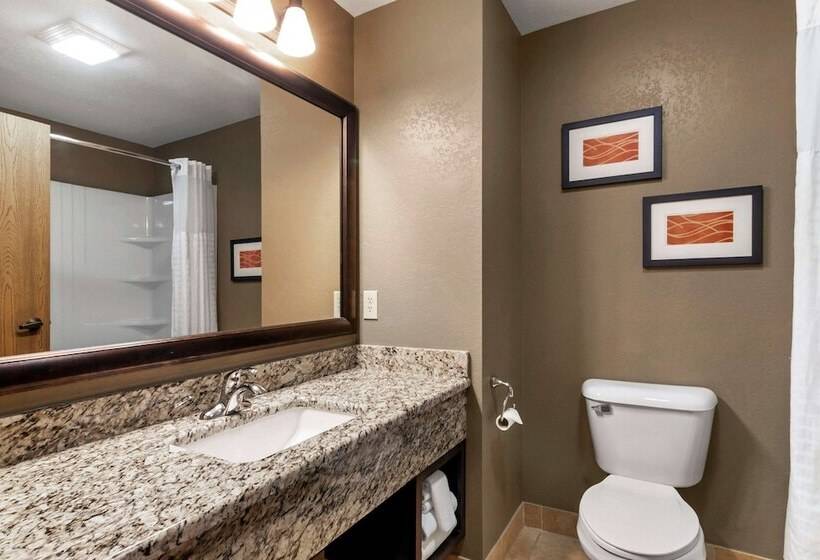 酒店 Comfort Inn & Suites Macon