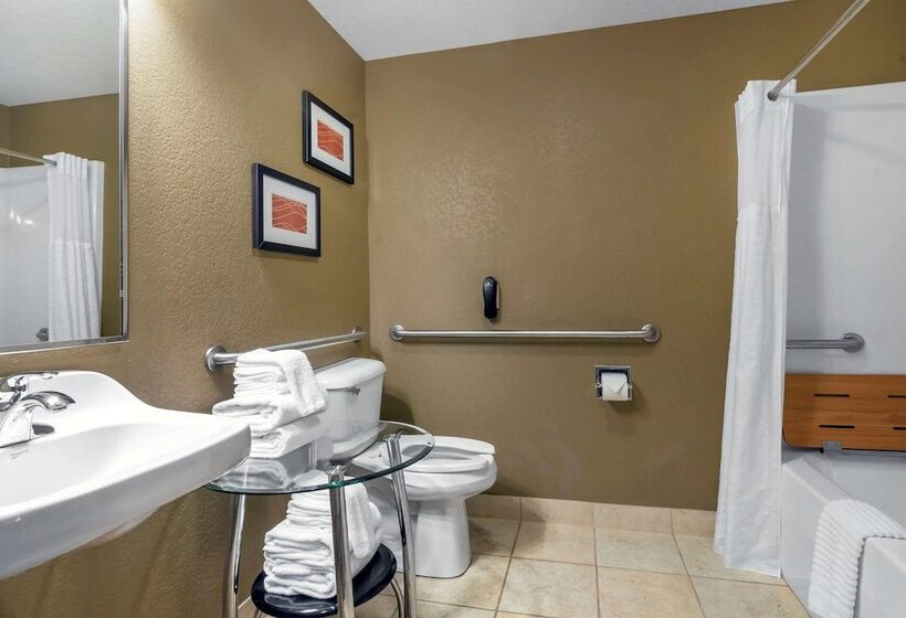 酒店 Comfort Inn & Suites Macon