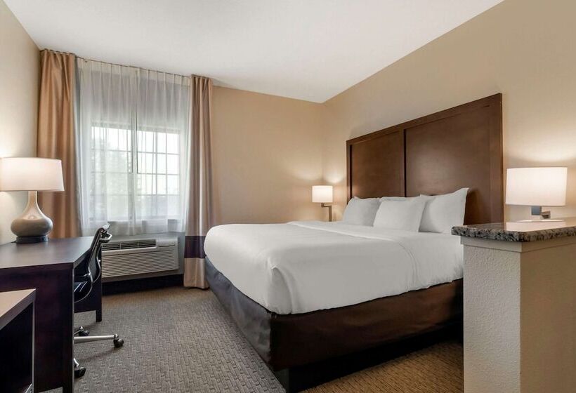 酒店 Comfort Inn & Suites Macon