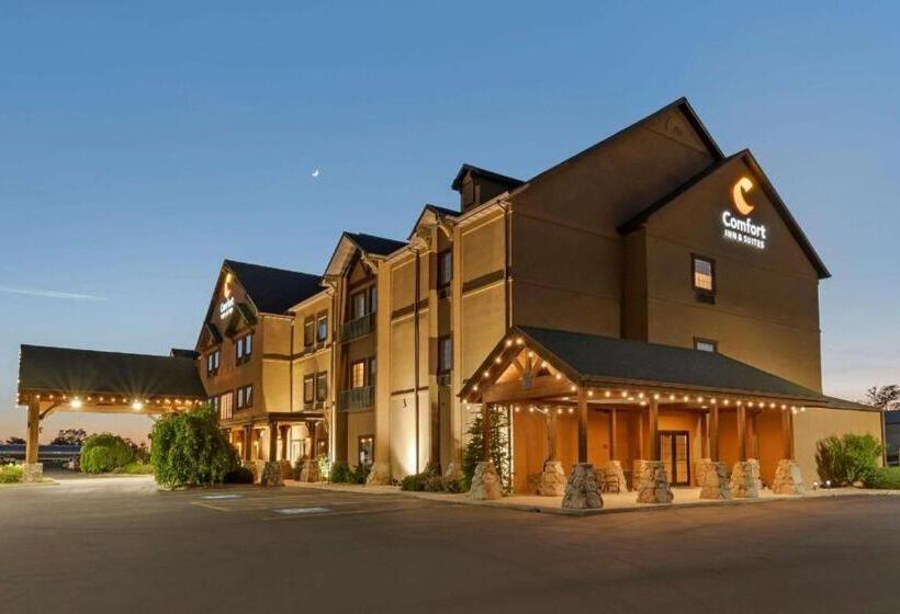 酒店 Comfort Inn & Suites Macon