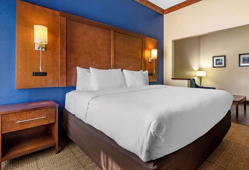 酒店 Comfort Inn & Suites Statesboro  University Area