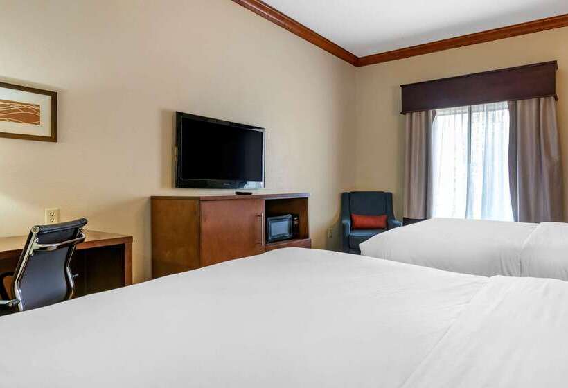 酒店 Comfort Inn & Suites Statesboro  University Area