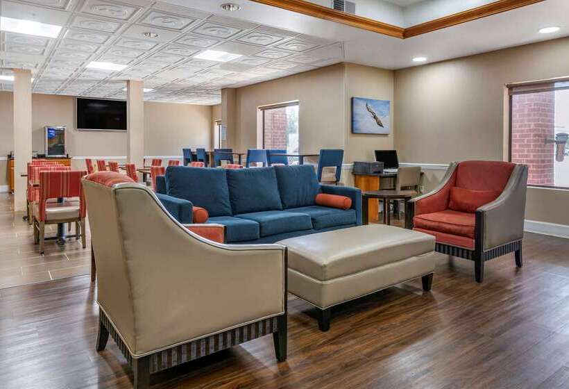 酒店 Comfort Inn & Suites Statesboro  University Area