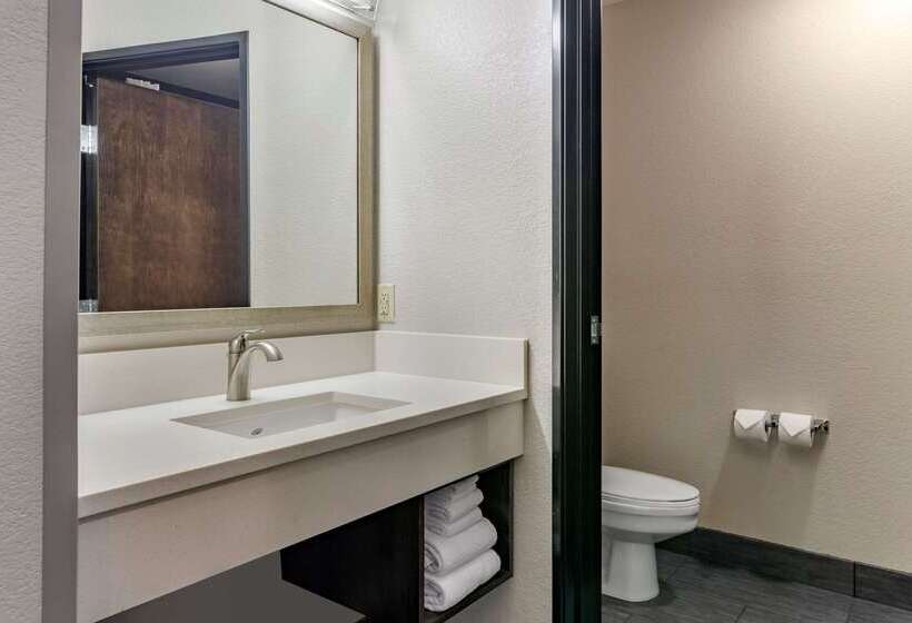 Hotel Comfort Inn & Suites Tualatin  Lake Oswego South