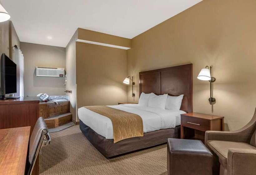酒店 Comfort Inn Warrensburg Station