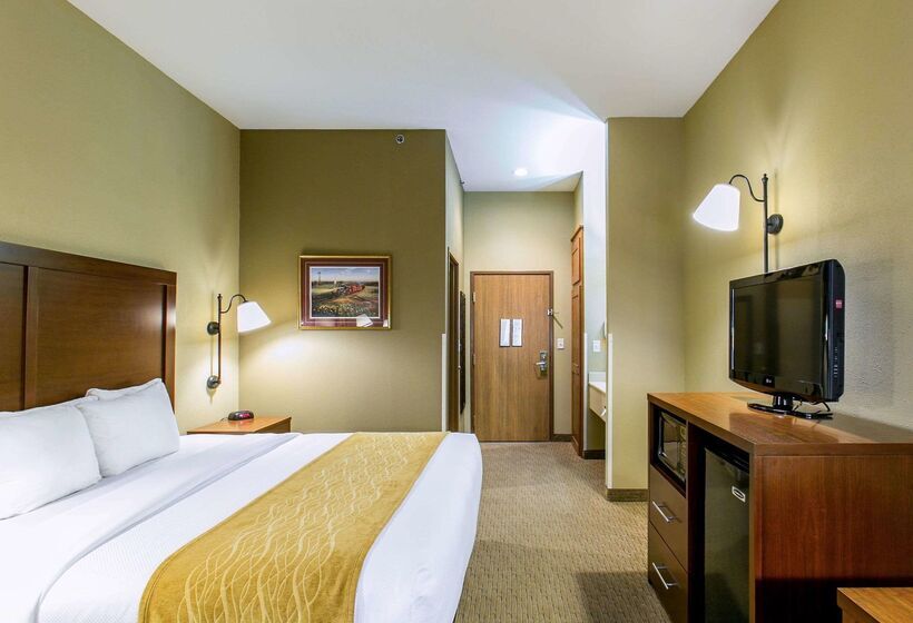 酒店 Comfort Inn Warrensburg Station