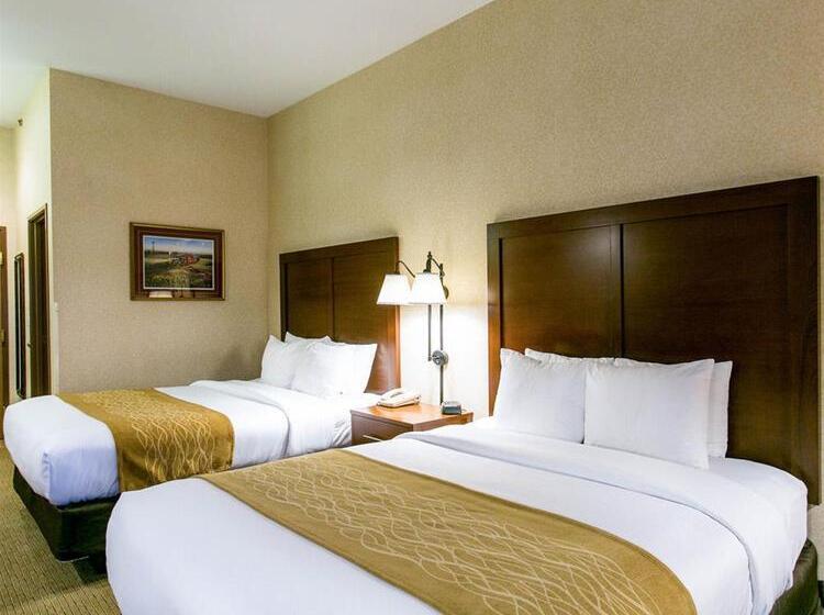 酒店 Comfort Inn Warrensburg Station