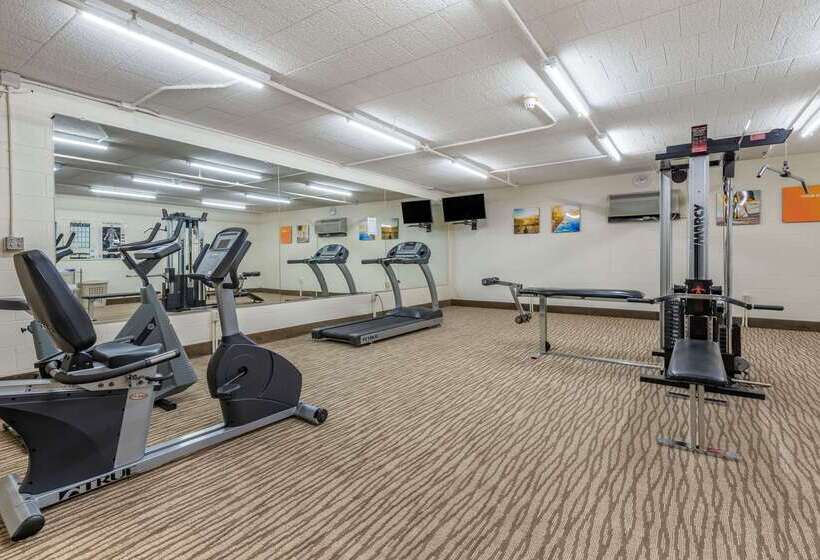 בית מלון כפרי Comfort Inn