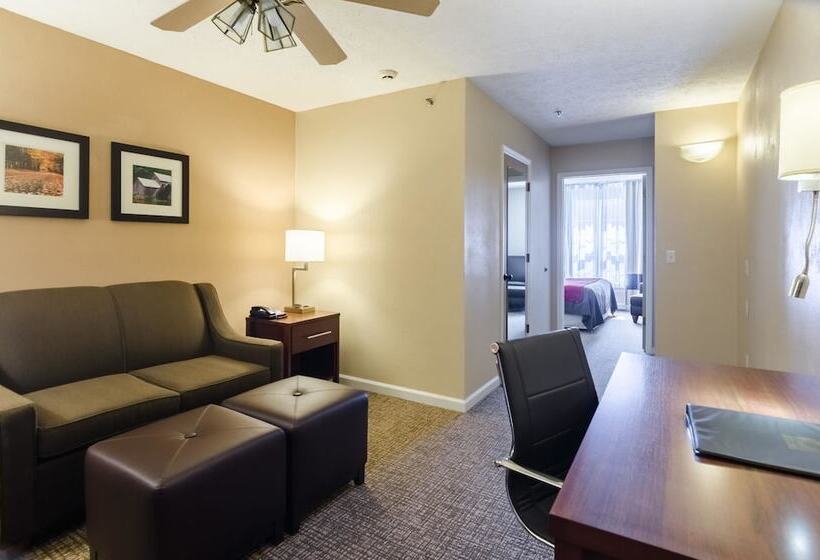 בית מלון כפרי Comfort Inn  Wytheville Fort Chiswell