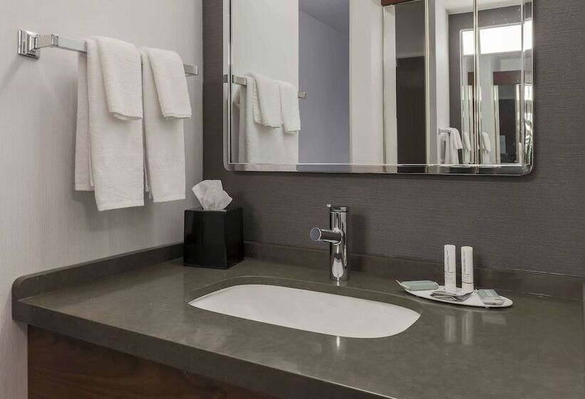 בית מלון כפרי Courtyard By Marriott Denver Golden/red Rocks