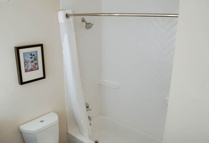 هتل Holiday Inn Mobile West I 10, An Ihg