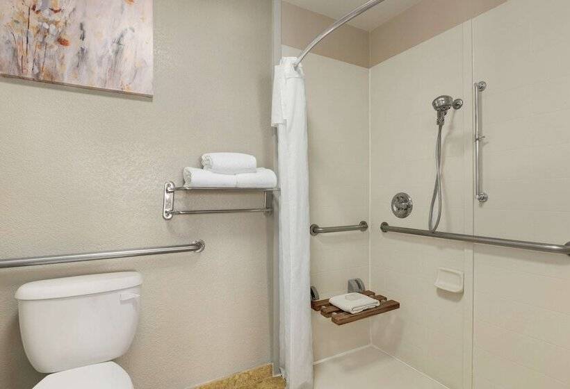 Hotel Homewood Suites By Hilton Dallas Dfw Airport N Grapevine