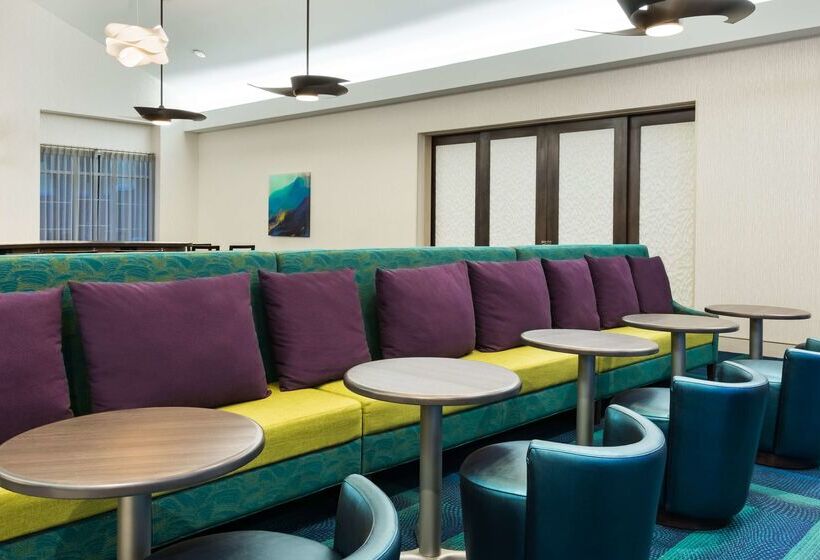 Fotos del hotel Homewood Suites By Hilton Orlando-nearest To Universal Studios:  39