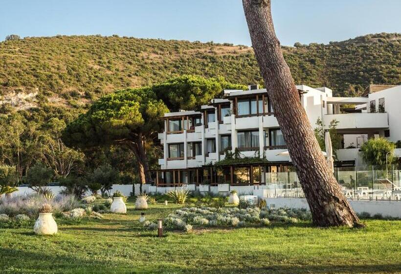 هتل Hôtel La Roya