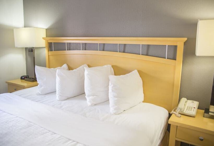 Fotos del hotel Hudson River:  6