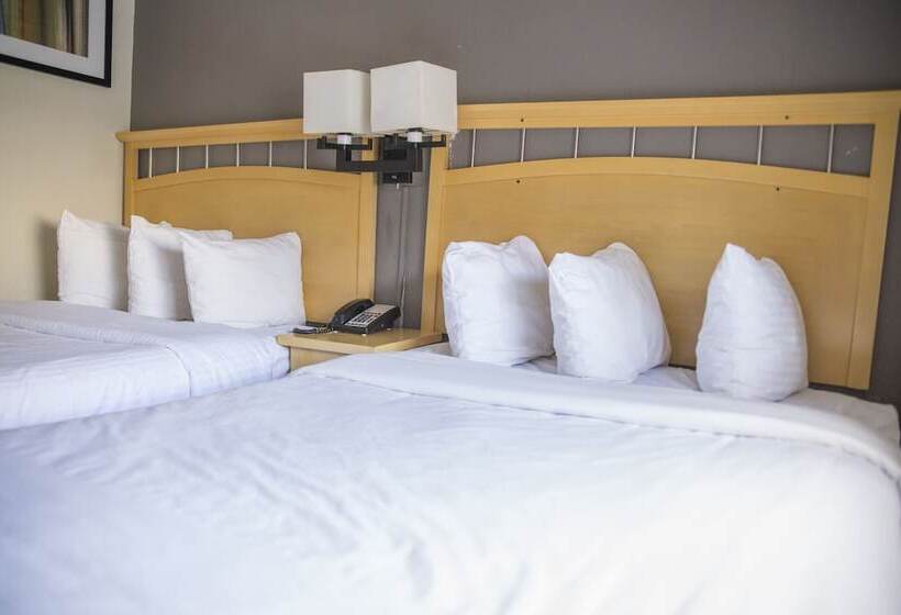 Fotos del hotel Hudson River:  4