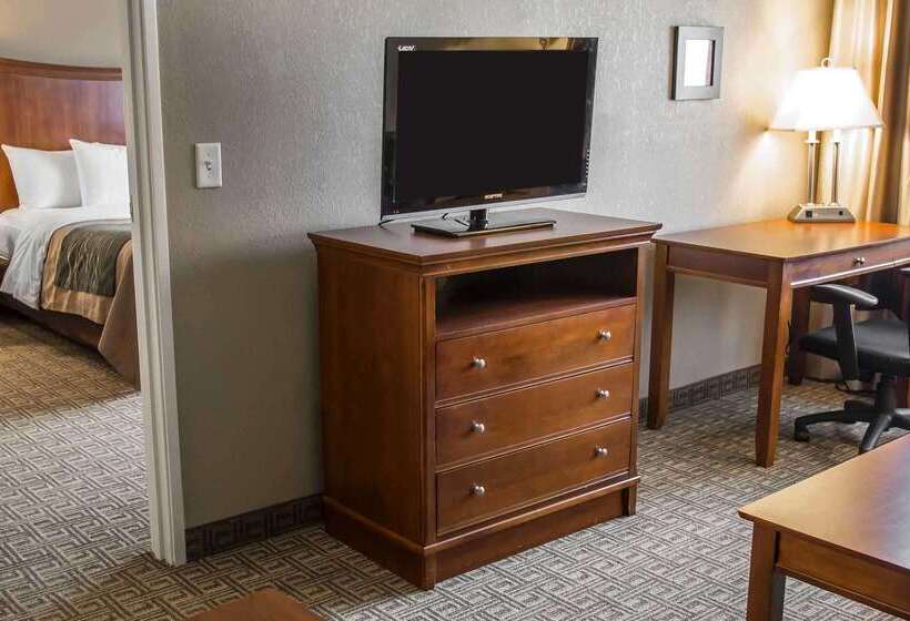 فندق Quality Inn & Suites