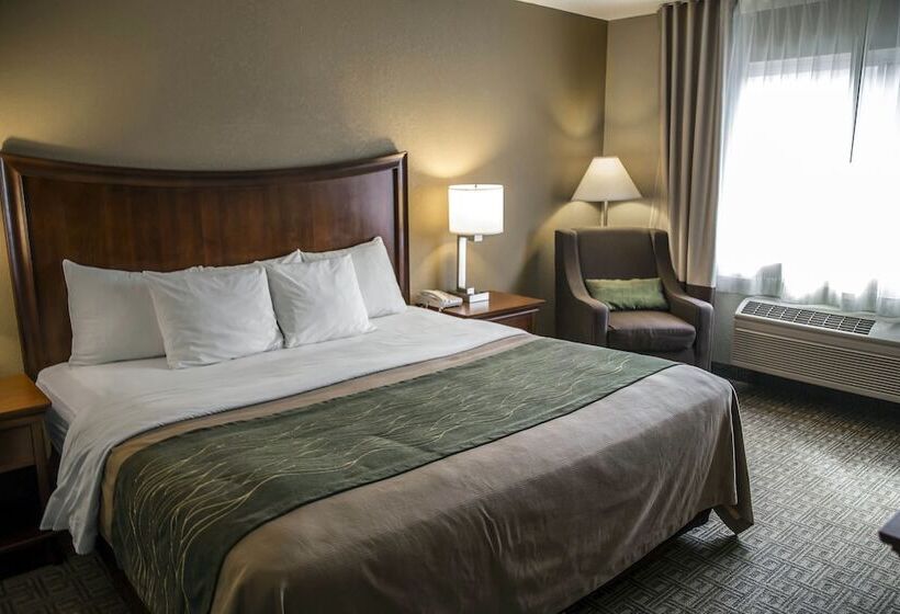 هتل Quality Inn & Suites