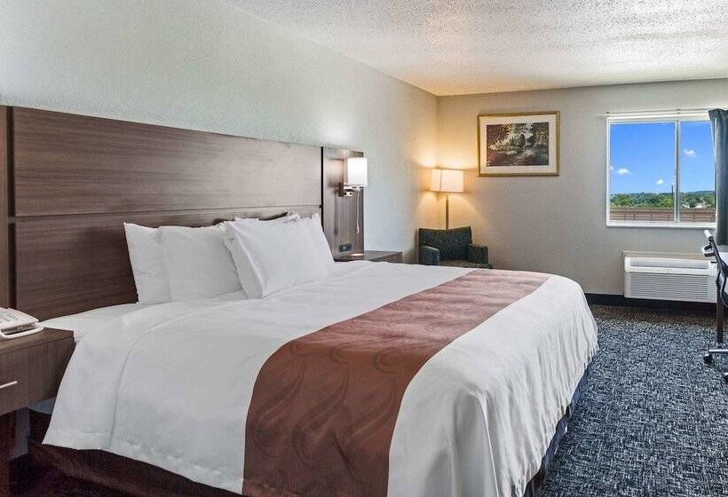 호텔 Quality Inn & Suites