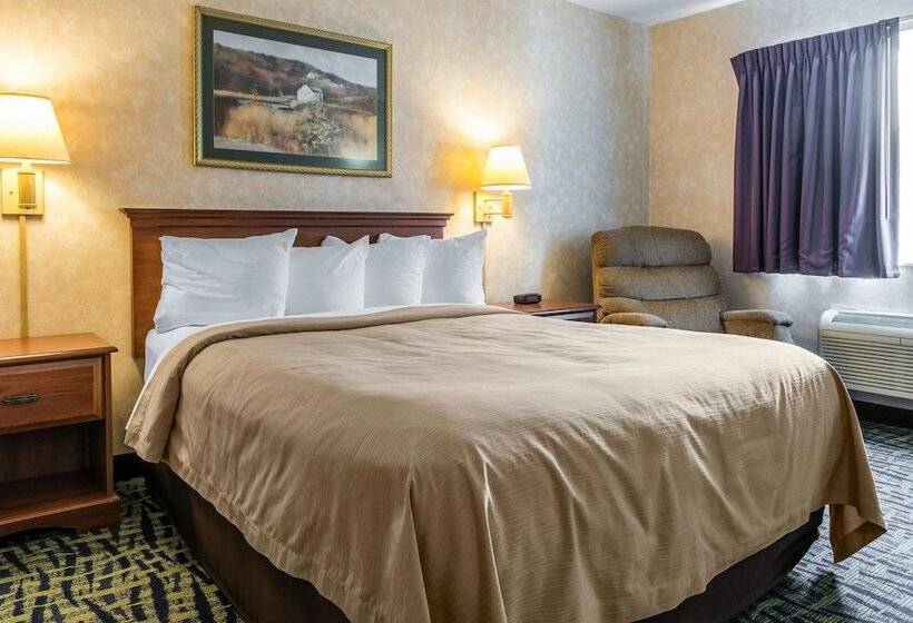 酒店 Quality Inn & Suites
