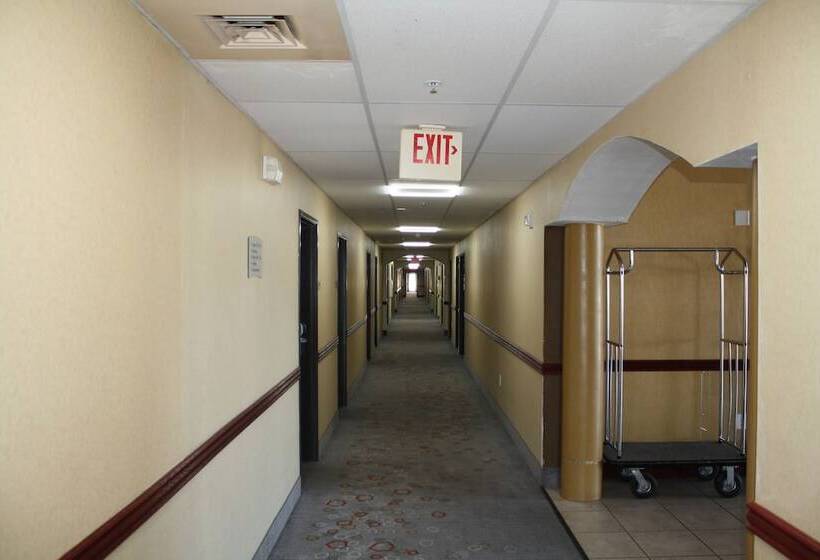בית מלון כפרי Quality Inn & Suites Wichita Falls I 44