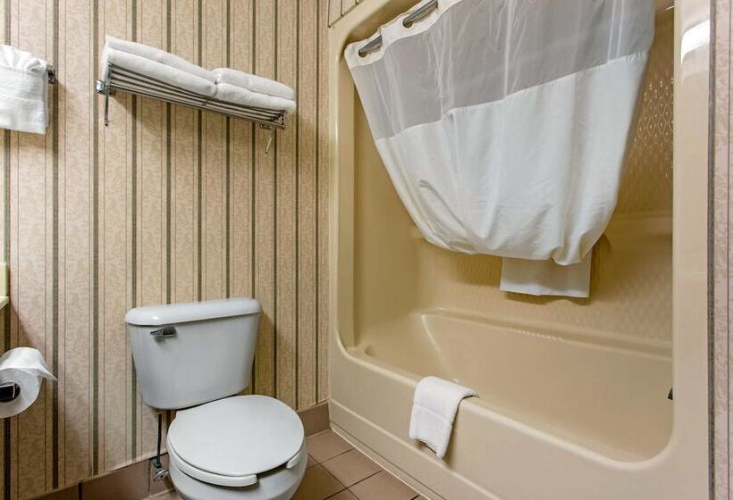 酒店 Quality Inn Surfside Myrtle Beach
