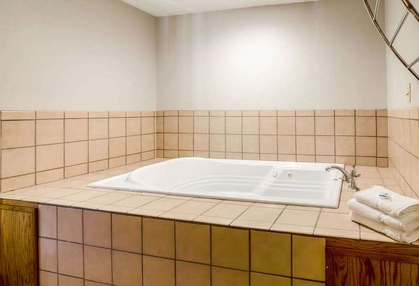 فندق Rodeway Inn