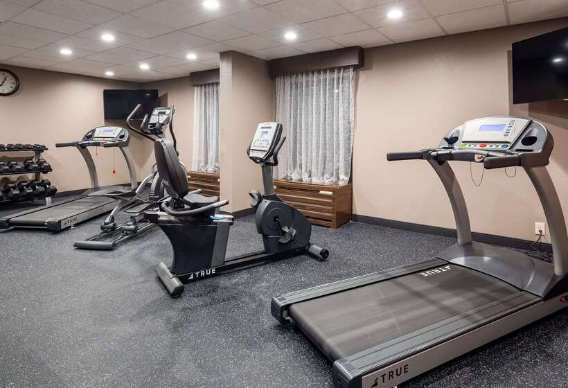 בית מלון כפרי Best Western Plus Lexington Inn