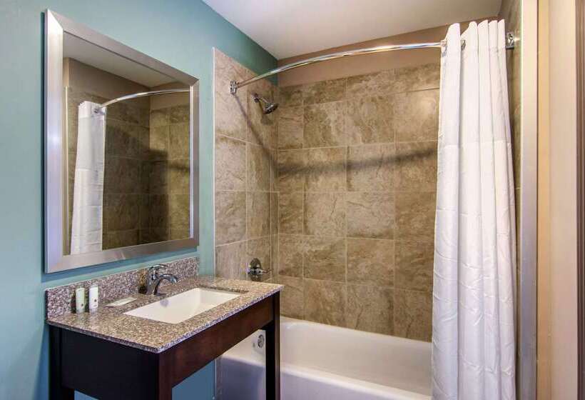 هتل Clarion Inn & Suites Atlanta Downtown
