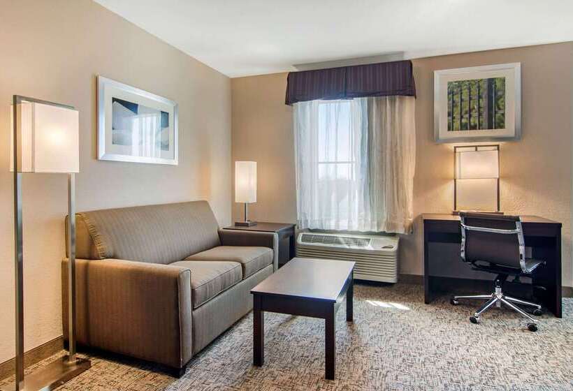 هتل Clarion Inn & Suites Atlanta Downtown