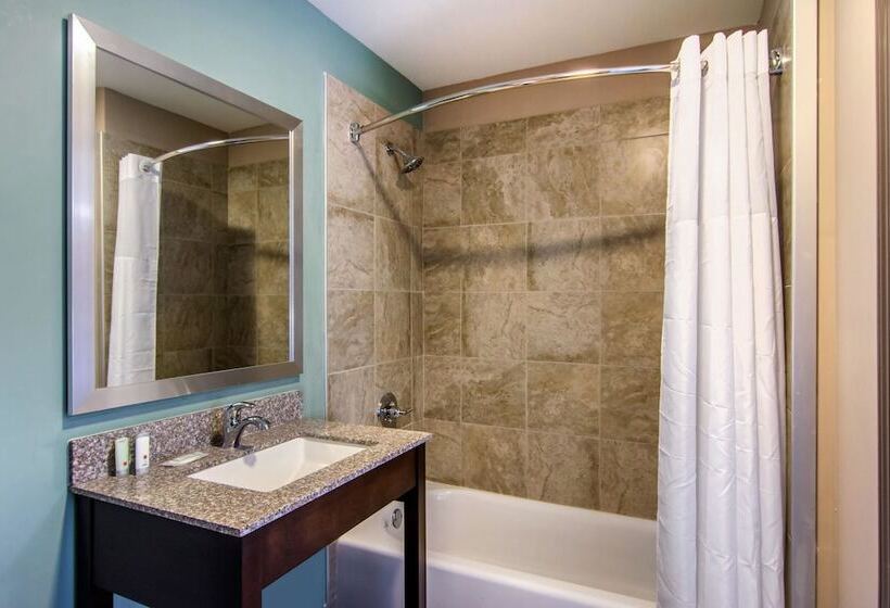 هتل Clarion Inn & Suites Atlanta Downtown