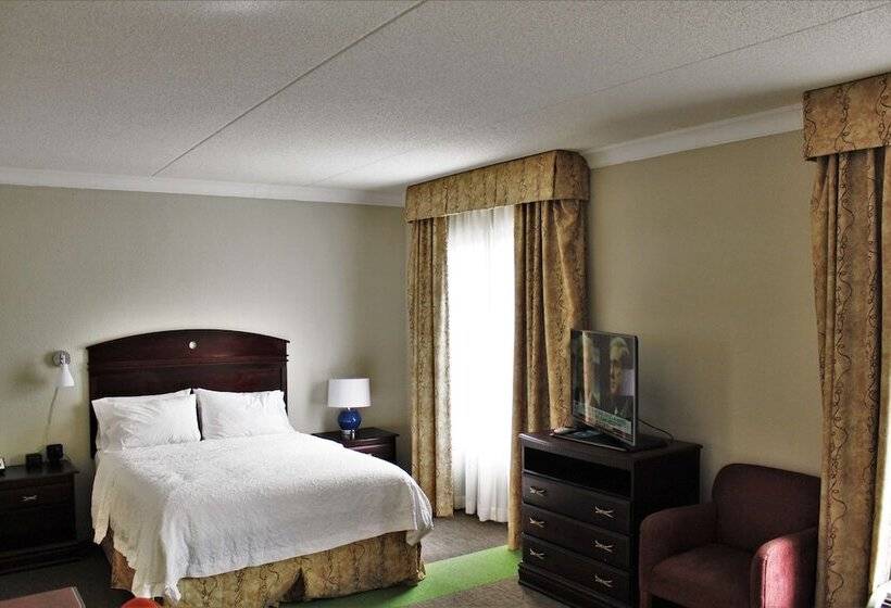호텔 Hampton Inn Americus