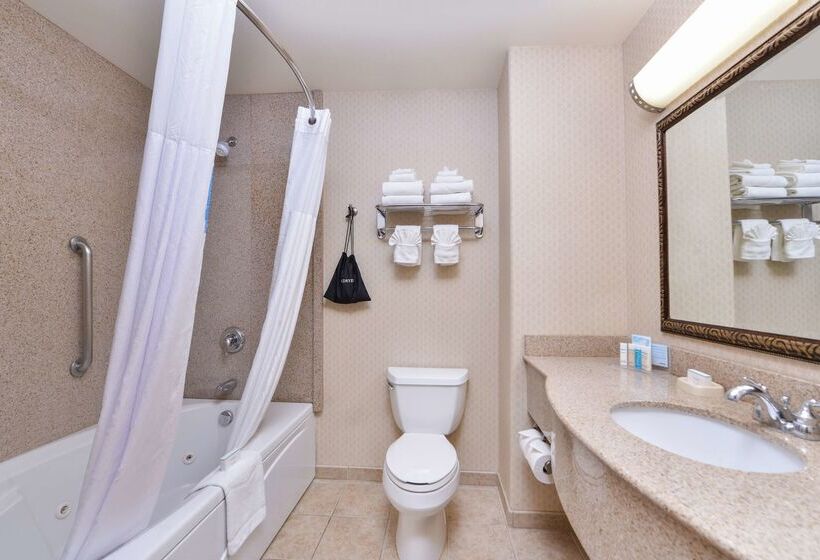 فندق Hampton Inn & Suites Boise Meridian