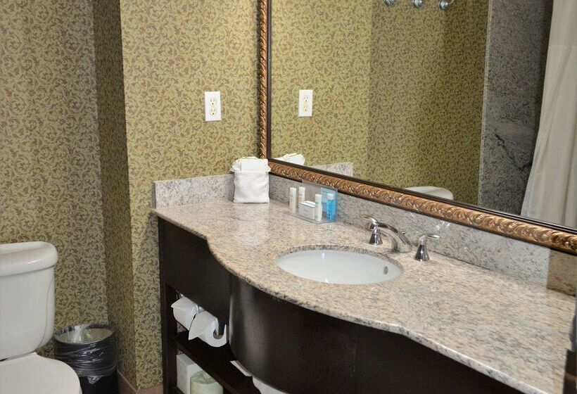 هتل Hampton Inn & Suites Houston Katy