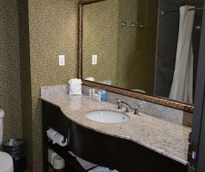 هتل Hampton Inn & Suites Houston Katy