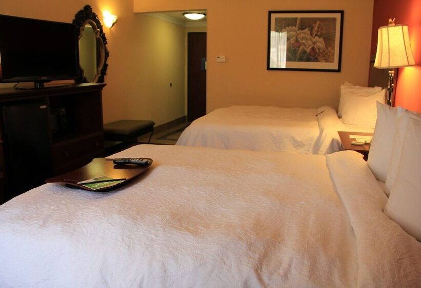هتل Hampton Inn & Suites Houston Katy