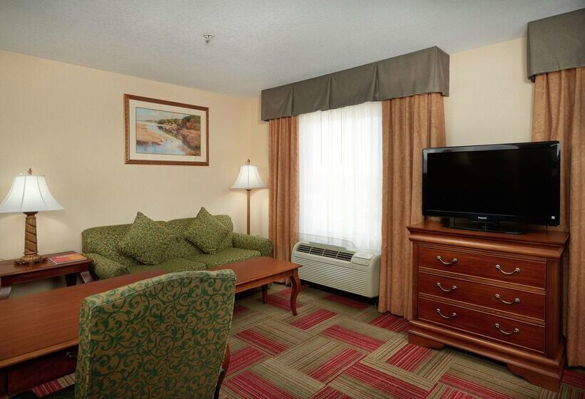 هتل Hampton Inn And Suites Roswell