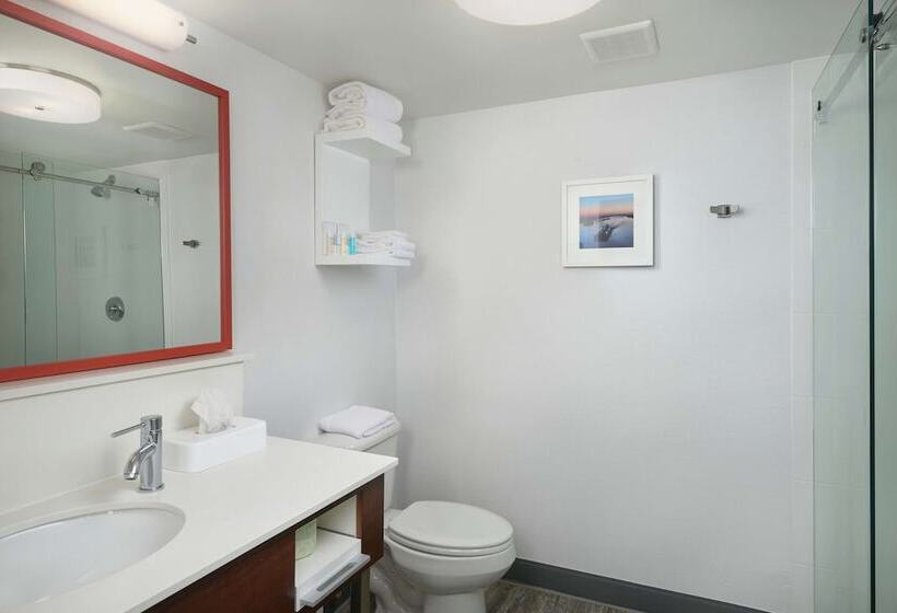 Hotel Hampton Inn Beaumont