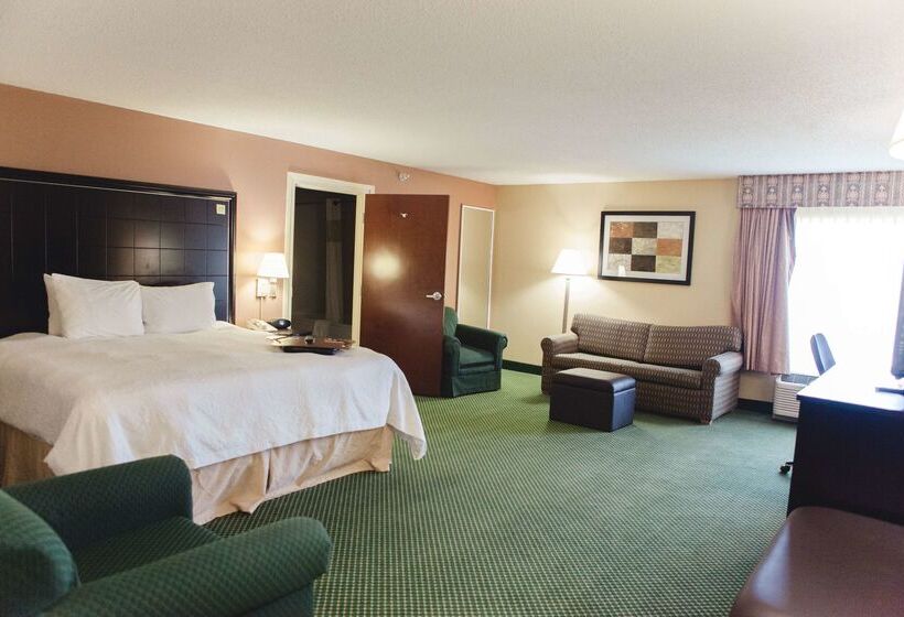 Hotel Hampton Inn Bloomington West